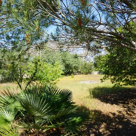 Bivilla Incalzi Villanova di Ostuni
